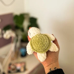 Mini tortue