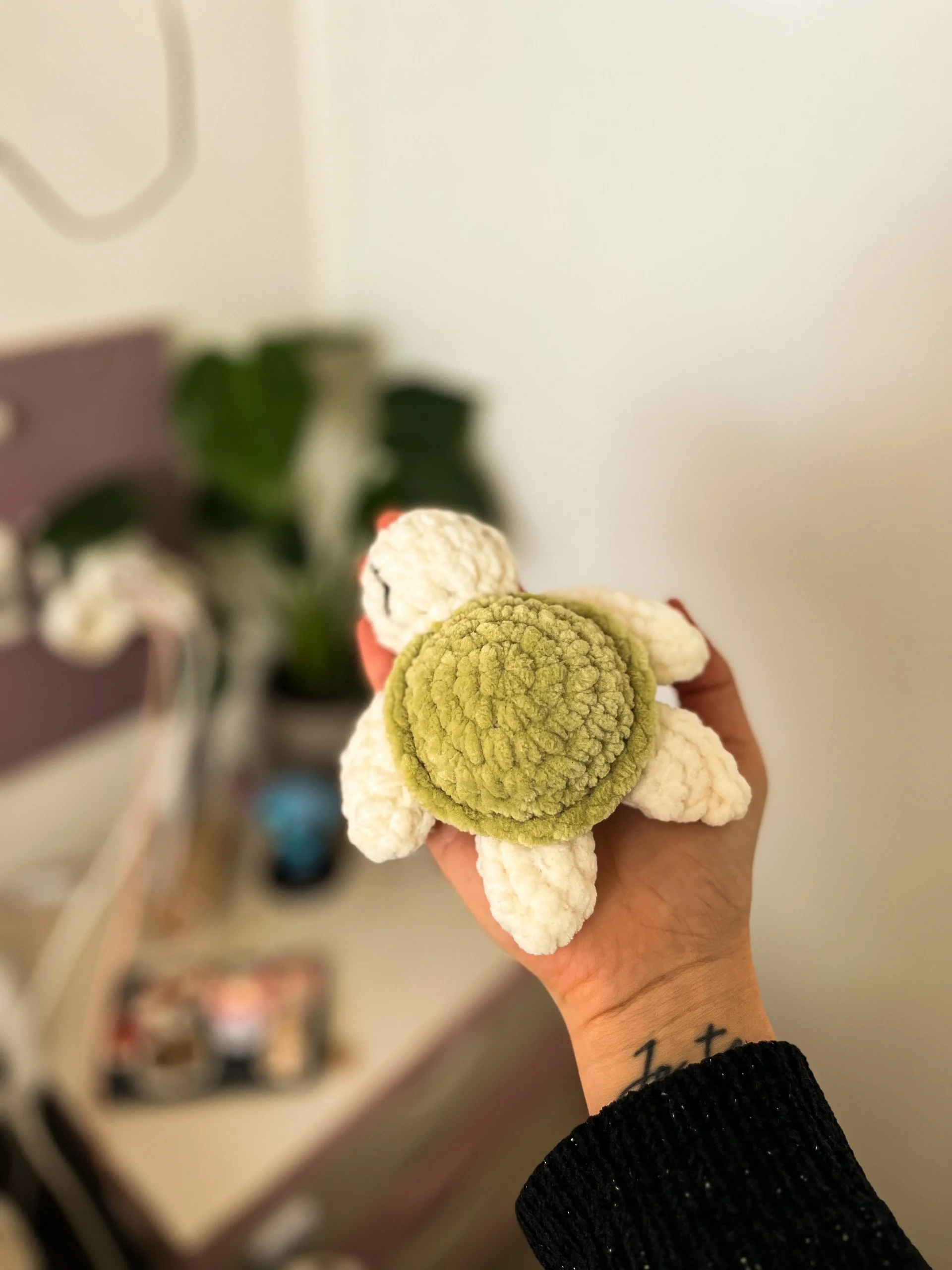 Mini tortue